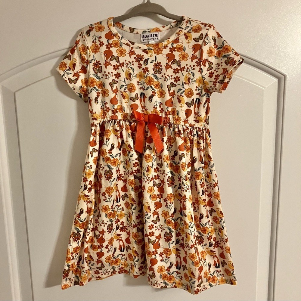 Blueberi Boulevard Girls 4 Woodland Fox Owl Butterfly Floral Fall Dress